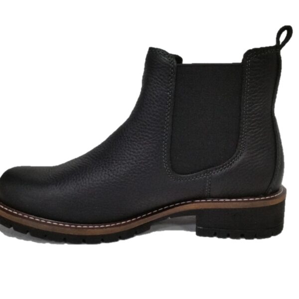 boots ecco