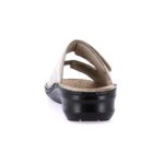 DAMI-CE0256-PLATINO-ld_0000