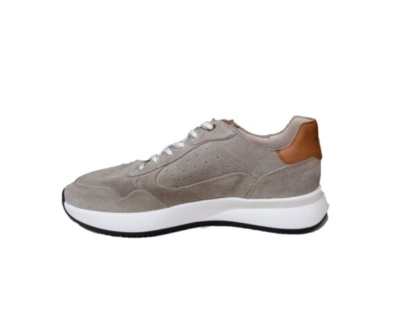 Ambitious sneakers uomo 14301-11279am RONNIE Runner taupe